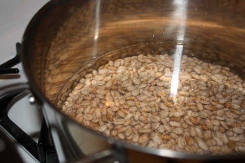 Beans Soaking