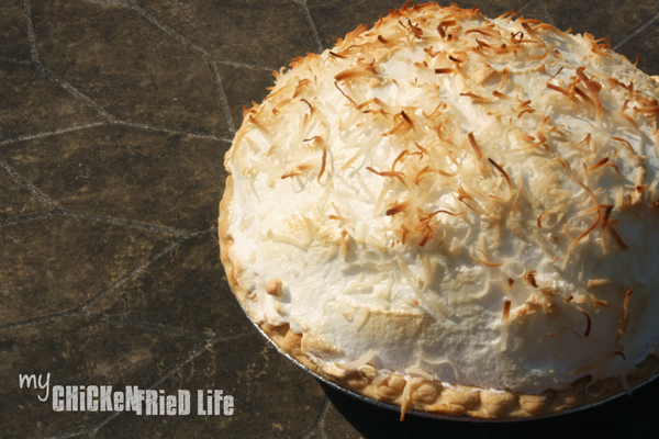 Coconut Custard Pie - My Chicken Fried Life