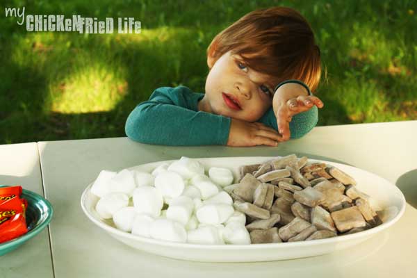 S'mores Bar - My Chicken Fried Life